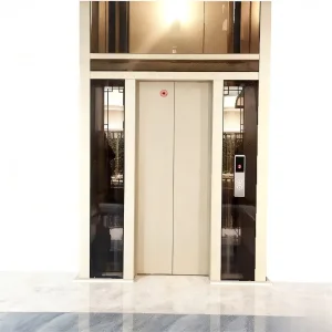 Home Outdoor Passenger Hotel Modern Warehouse Elevator Lift 3-Meter Stair Industrial Elevator