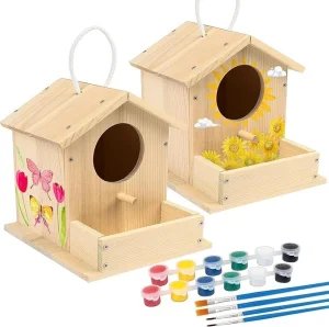 DIY Pine Wooden Birdhouse Craft Kit for Kids-Paintable Educational Toy Wall Hanging Christmas Gift for Boys