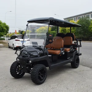 High Quality 6-seater Electric Golf Carts and Legally Operated Golf Carts on the Road