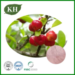 Extrato de Cereja Acerola Antioxidante