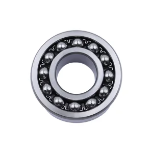 Self-Aligning Ball Bearing 1204