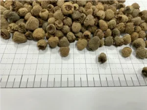 Chinese Herbal Fupenzi Liver Kidney Medicine