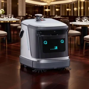 Self Cleaning Robot