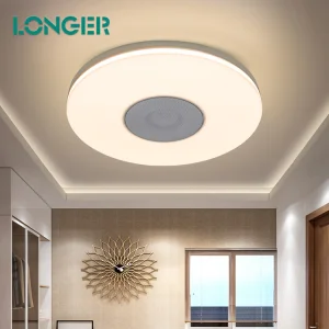 RGB Music Ceiling Light