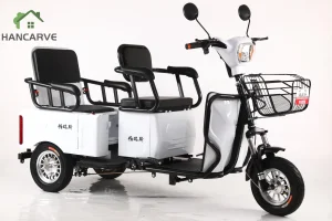 Hancarve Electric Cargo Bike for Multi-Purpose Use with 1000W Motor