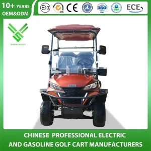 Tourist Golf Cart