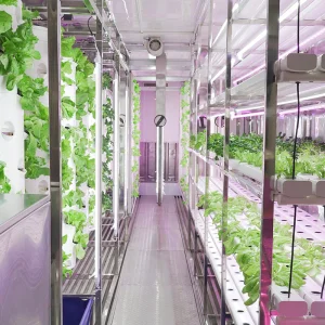 Shipping Container Farm