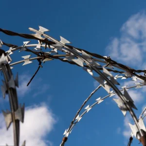 Galvanized Security Concertina
