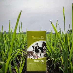 Recyclable PP Package