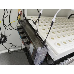 Agg Modern Style 40FT Shipping Container Microgreens Container Weed Vertical Farming Container Farming Nft Hydroponic System