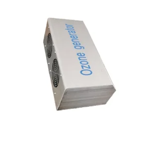 40g Ozone montado na parede O3 Máquina para preservação, esterilização e desinfecção de armazenamento frio móvel com temporizador