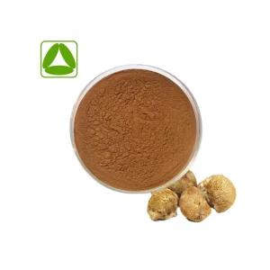 Potent Lion's Mane Mushroom Extract Powder for Brain Health and Focus