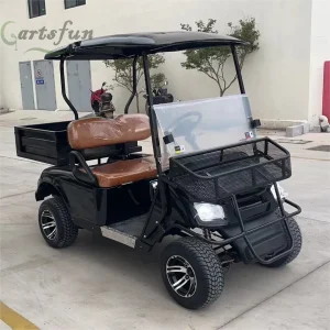 Mini Electric Golf Carts 2 Seater Cheap Farm Lead-Acid Utility Vehicles Golf Cart with Cargo Bed