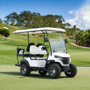 Solar Powered Electric Golf Cart Roof Panel