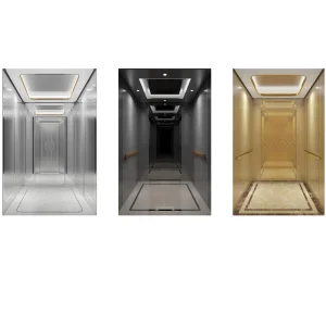 Gearless Residential Villa Panoramic Sightseeing Observation Freight Car Goods Service Cargo Home Lift Passenger Elevator