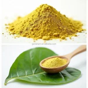 Herbal Mulberry Leaf Extract Powder