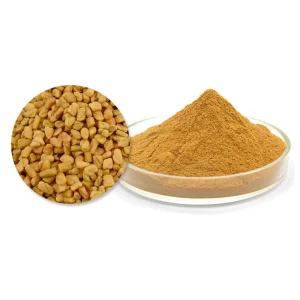 Natual Fenugreek Extract Powder