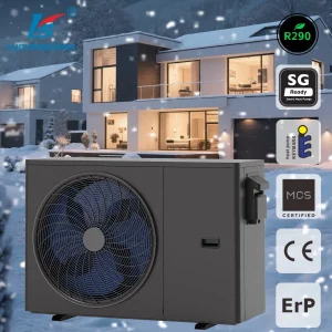 R290 Heat Pump