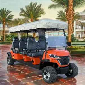 Chinese Forward Facing Cart