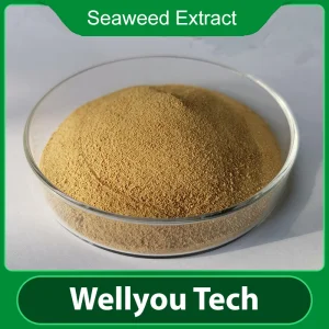 Seaweed Extract