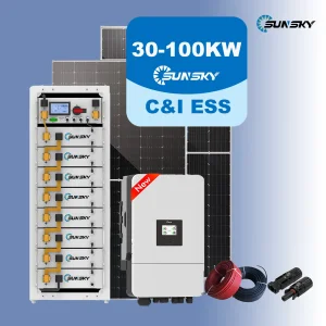 Versatile Deye 100kw Three-Phase Solar Energy Storage Solution