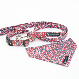 Hanyang Wholesale Personalized Adjustable Nylon Pet Collar with Cute Bowknot