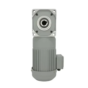 High Torque Stability Gear Motor