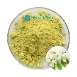 Sophora Japonica Quercetin 98%