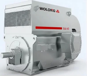 WOLONG Nanyang ATB YZYKK motor