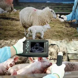 Professional Vet Ultrasound