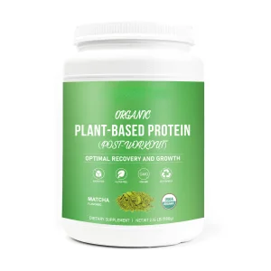 Private Label Organic Matcha Flavor Sugar-Free Plant Based Protein Powder for Trainer Post-Workout Energy Muscle Building