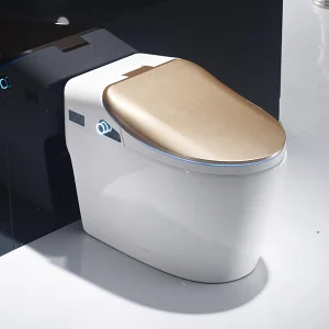 Wholesale Freestanding Tankless Bathroom Intelligent Smart Toilet with Heated Bidet Night Light Warm Air Drying for High-End Apartment