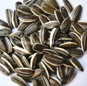 Preço em bulk de snacks saudáveis da China, todos os tipos de sementes: sementes de girassol, sementes de abóbora, sementes de melancia