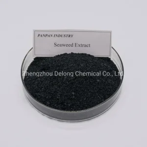 Seaweed Extract