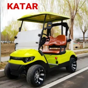 Custom 4 6 8 10 Seater Solar Power Lithium Batteries Folding Golf Carts Electric Golf Cart
