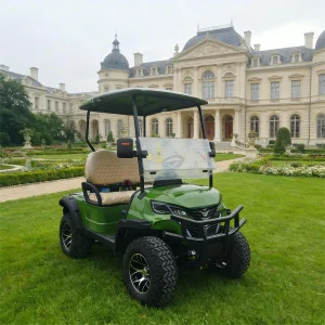 Electric 2 Seater Golf Cart with Cargo Box with 18x8.5-8 8 inch Tire