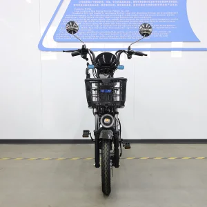 20 Inch Snow Tire High-Strength LiFePO4 Lithium Cargo Electric Bike with Thickened Frame for All Weather Conditions