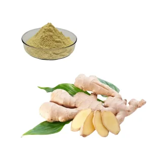Wholesale Ginger Root Extract