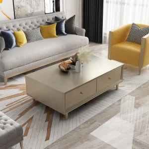Modern Minimalist Champagne Coffee Table Matte Finish Living Room Coffee Table
