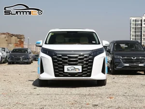 2025 Hot Sale Luxury Byd Xia 5-Door 7-Seat MPV Plug-in Hybrid Electric Vehicle for Adult Family with Outdoors Used EV Car