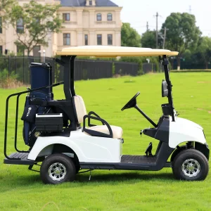Hioev 2-Seat Fleet Electric Golf Cart
