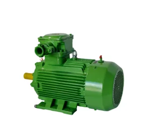 Flame Proof Motor