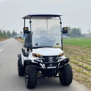 Tongcai &amp; Kepler 2-Seat Buggy Elétrico Pronto para Frota Projetado para Gestão de Campos de Golfe, Durável, Eficiente, Fácil Manutenção, Ideal para Operações Diárias Elect