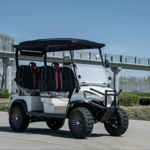 4WD Electric Golf Cart
