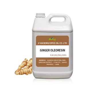 BORUI Wholesale Bulk Price 100% Pure Natural Spicy Food Grade Ginger Oleoresin Pure Essential Oil CO2 Extracted Cosmetic Use