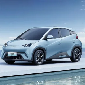 Wholesale BYD Seagull Suppliers, Products