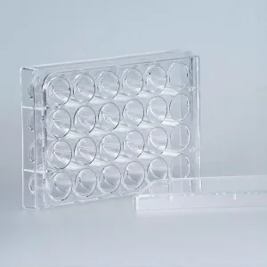 48 Well Plate