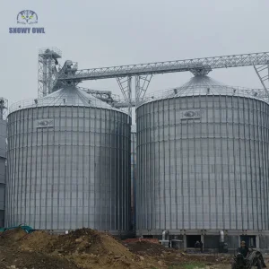Water Soluble Fertilizer