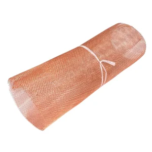 Phosphor Bronze Mesh