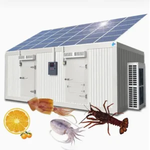 Energy-Efficient Mobile Cooling Solar Cold Rooms Container Units for Fruits and Vegetables